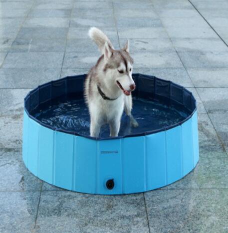 Pet Pool Dog Swimming Pool